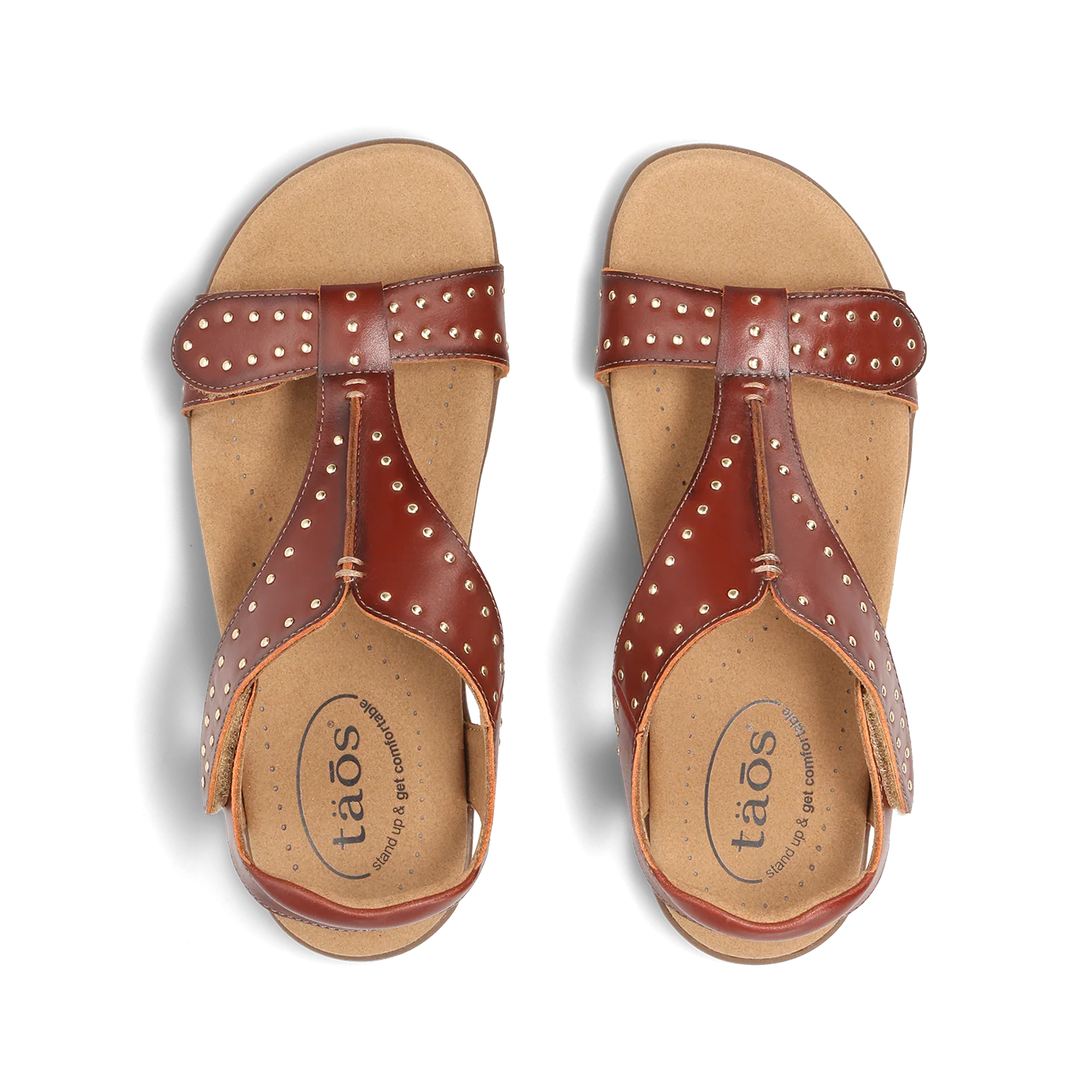 Show Stopper - Image 4
