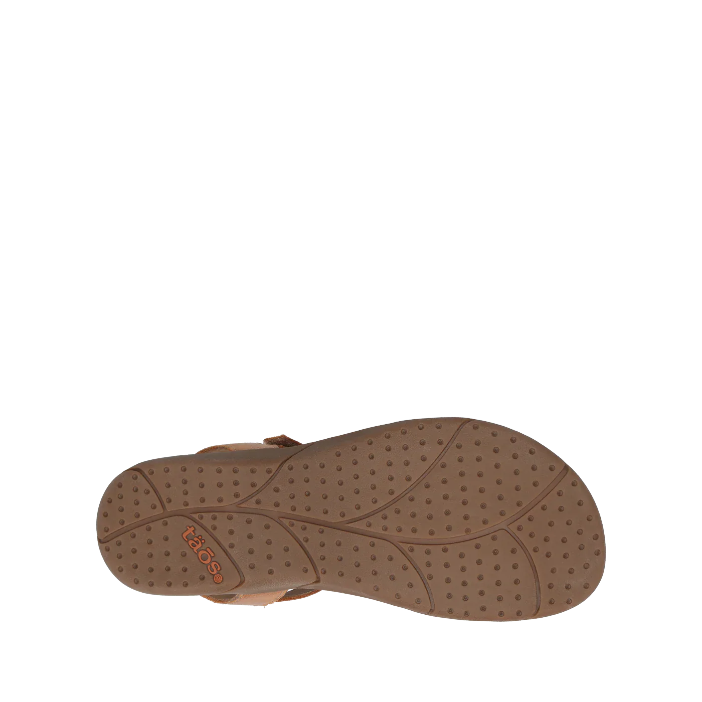 Trophy 2 - Image 5
